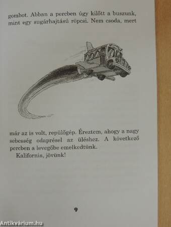 Amit tudni kell a denevérekről