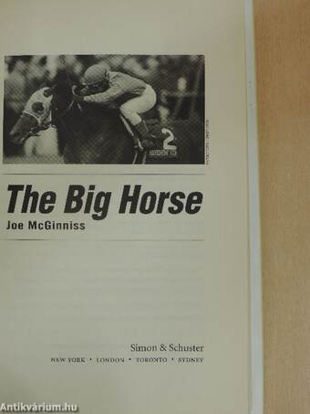 The Big Horse