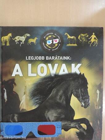 Legjobb barátaink: a lovak