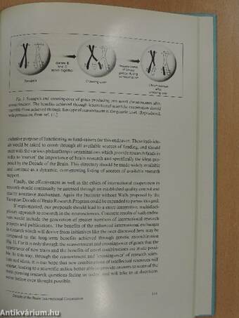 New Pharmacological Approaches to the Therapy of Depressive Disorders