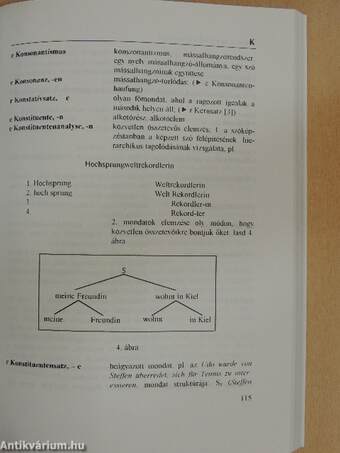 Linguistisches Wörterbuch Deutsch-Ungarisch