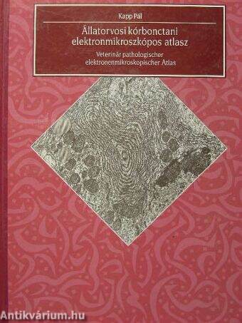 Állatorvosi kórbonctani elektronmikroszkópos atlasz