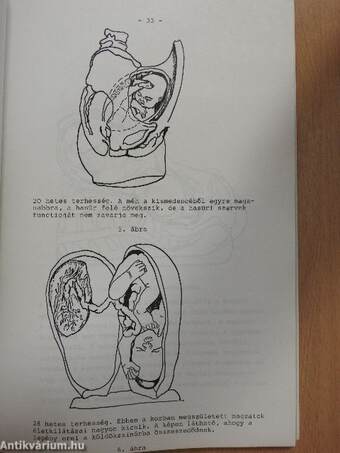 Terhességi psychoprophylaxis és autogén training