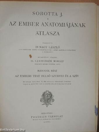 Az ember anatomiájának atlasza II. (töredék)