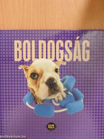 Boldogság