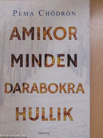 Amikor minden darabokra hullik