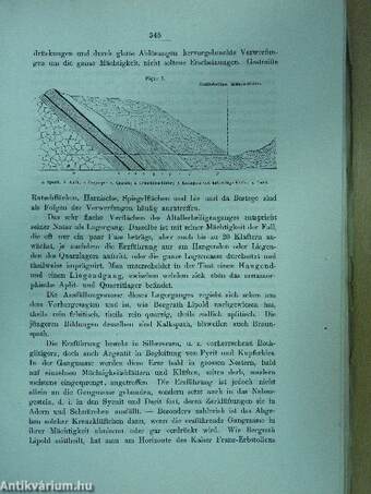 Gedenkbuch zur Hundertjährigen Gründung der Königl. Ungarischen Berg- und Forst-Akademie in Schemnitz 1770-1870.