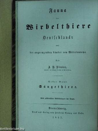 Naturgeschichte der Säugethiere Deutschlands und der angrenzenden Länder von Mitteleuropa (gótbetűs)