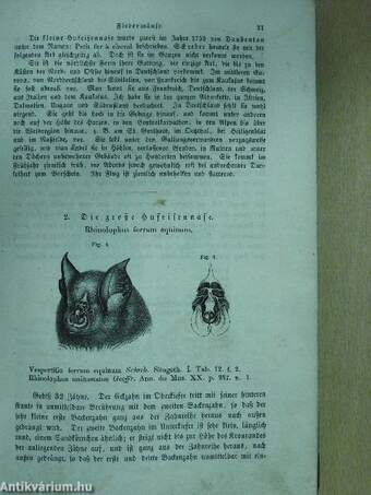 Naturgeschichte der Säugethiere Deutschlands und der angrenzenden Länder von Mitteleuropa (gótbetűs)