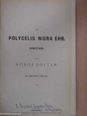 A Polycelis nigra ehr. boncztana