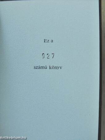 Képek 30 év magyar képzőművészetéből (minikönyv) (számozott)