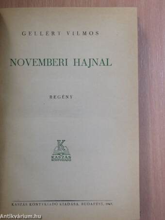 Novemberi hajnal