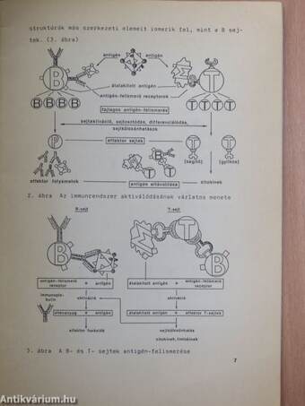 Folia Biotechnologica 46.