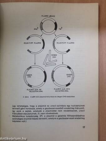 Folia Biotechnologica 31.