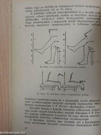 Ideg- és elmebetegségek