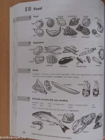 English Vocabulary in Use - Pre-intermediate & intermediate