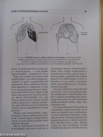 A belgyógyászati fizikális diagnosztika alapjai