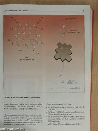 Orvosi biokémia