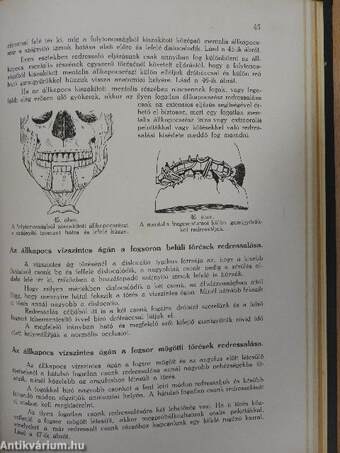 Elektrokardiographia/A szembetegségek physicotherapiája/Az állkapocssérülések gyógyítása/Élelmezési táblázatok