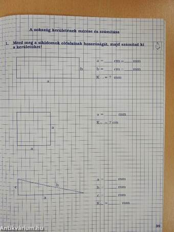 Gyakorlófüzet - Matematika 4. osztály