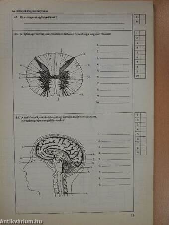 Biológiai feladatsorozatok középiskolásoknak IV. osztály