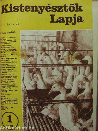 Kistenyésztők Lapja 1978. (nem teljes évfolyam)