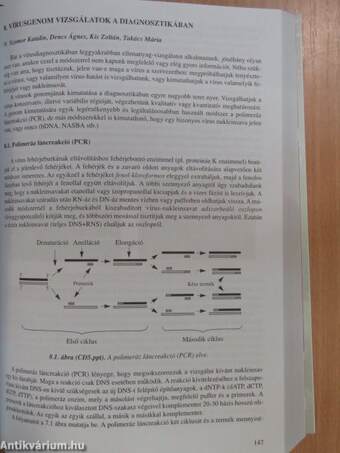 Orvosi molekuláris virológia - CD-vel (dedikált példány)