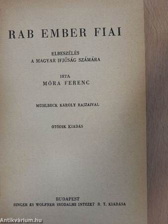 Rab ember fiai