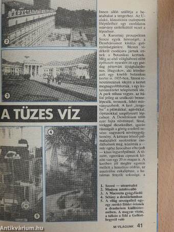 Új Mi Világunk 1986/6.