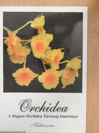 Orchidea