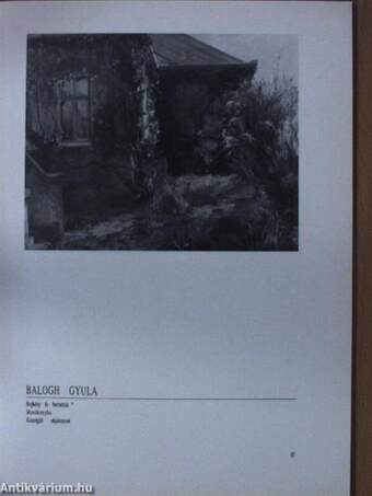 40. Vásárhelyi Őszi Tárlat - 1993. október 3-november 28.