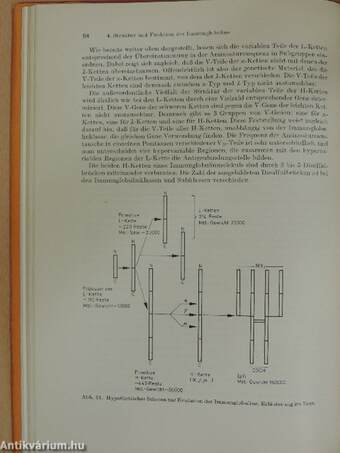 Grundriß der Immunbiologie