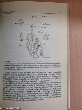 A légzés gyógyító hatása