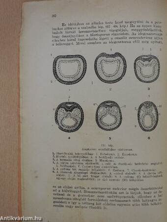 Zoologia I/2.