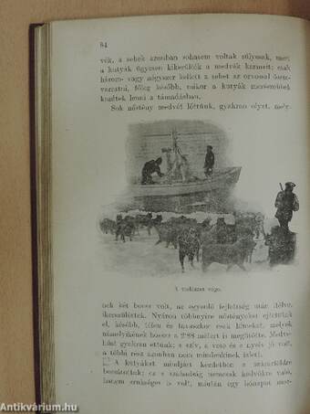 Az «Észak Csillaga» («Stella Polare») az Északi Sarktengeren 1899-1900 I. (töredék)