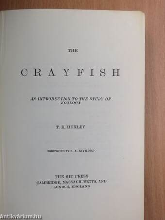 The Crayfish