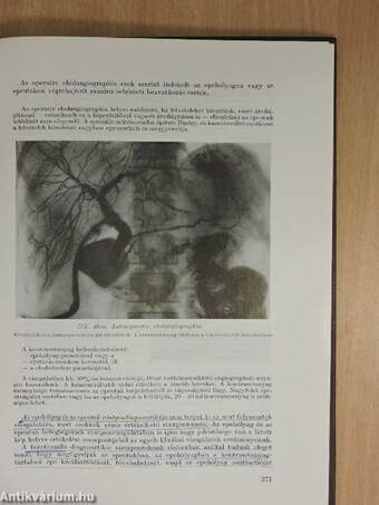 A radiologia alapvonalai