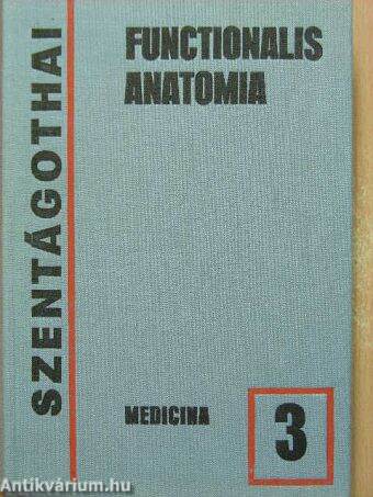 Functionalis anatomia 3.