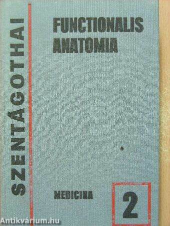 Functionalis anatomia 2.