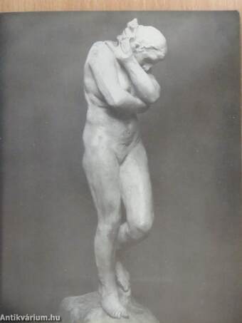 Rodin