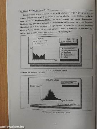 Szimulációs modellek a fizikában