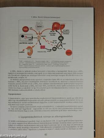 Atherosclerosis