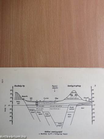 Észrevételek a bakonyi bauxitbányászat vízemelése és a hévízi gyógyforrás hozamváltozása közötti összefüggés kérdéséhez