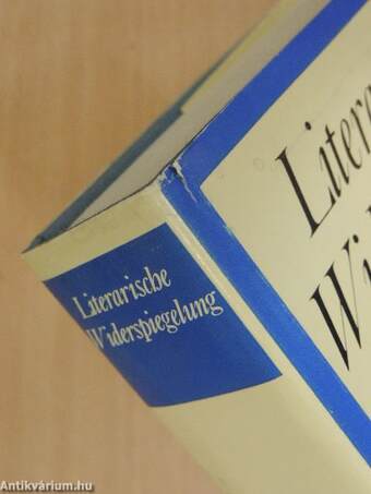 Literarische Widerspiegelung