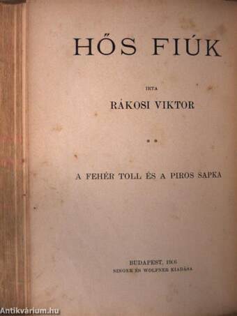 Hős fiúk