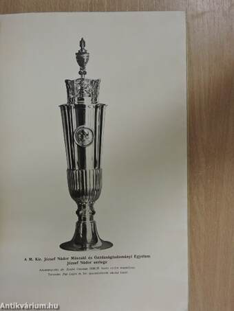 A Budapesti M. Kir. József Nádor Műszaki és Gazdaságtudományi Egyetem 1937/38. tanévének megnyitásakor, valamint az 1936/37. tanév ünnepélyein tartott Beszédek és az 1936/37. tanévi évkönyv