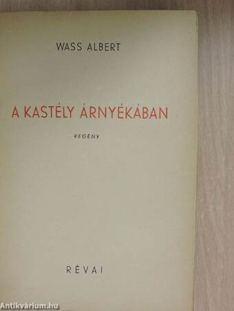 A kastély árnyékában