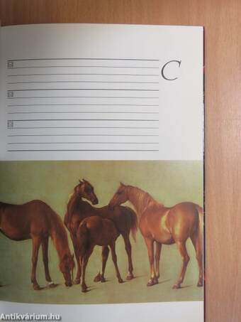 The illustrated horses address book