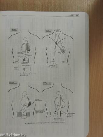 Korszerű orvosi diagnosztika és terápia 1996