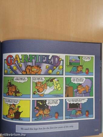 Garfield's Twentieth Anniversary Collection